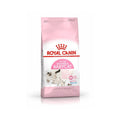 Royal Canin Mother & Baby cat