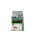 Bravery Cat Chicken Kitten 2Kg