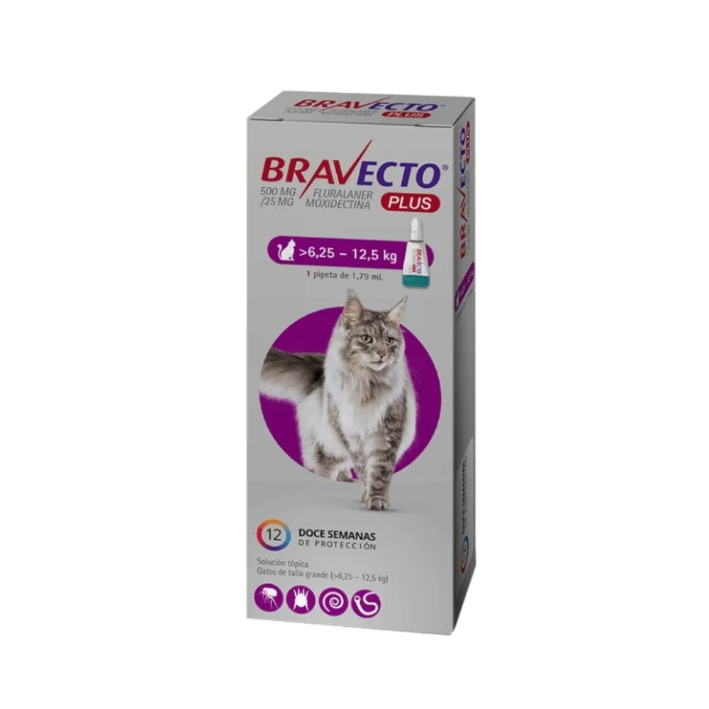 Bravecto Plus Gato 6.25-12.5kg (500mg)