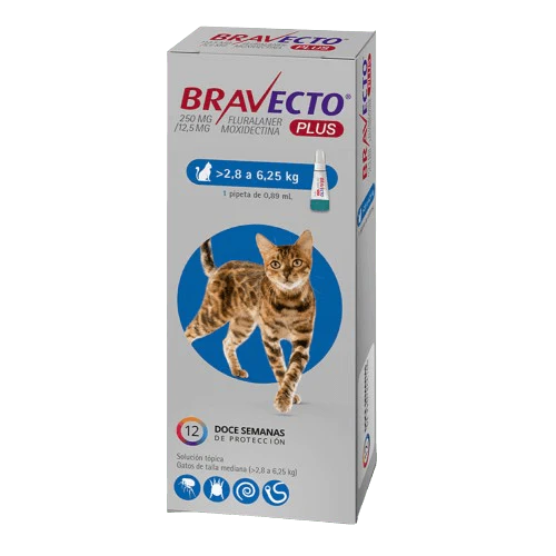 Bravecto Plus Gato 2.8-6.25kg (250mg)